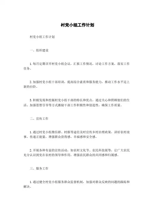 村党小组工作计划