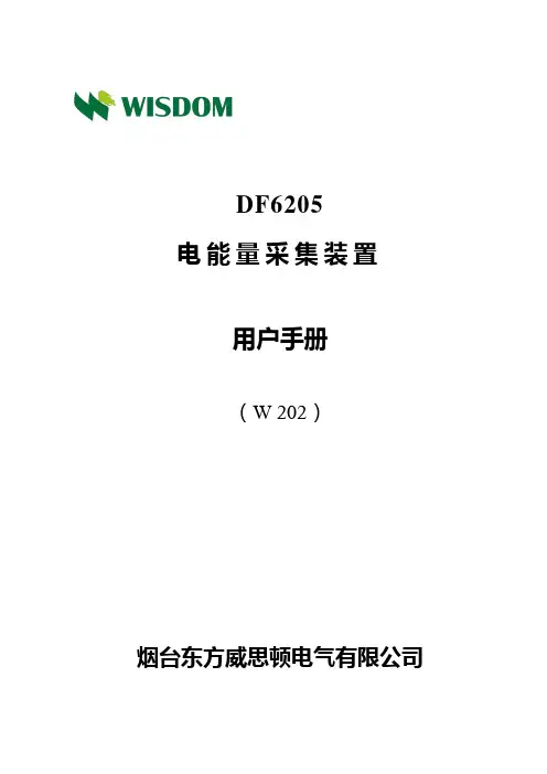 DF6205电能量采集装置用户手册 2