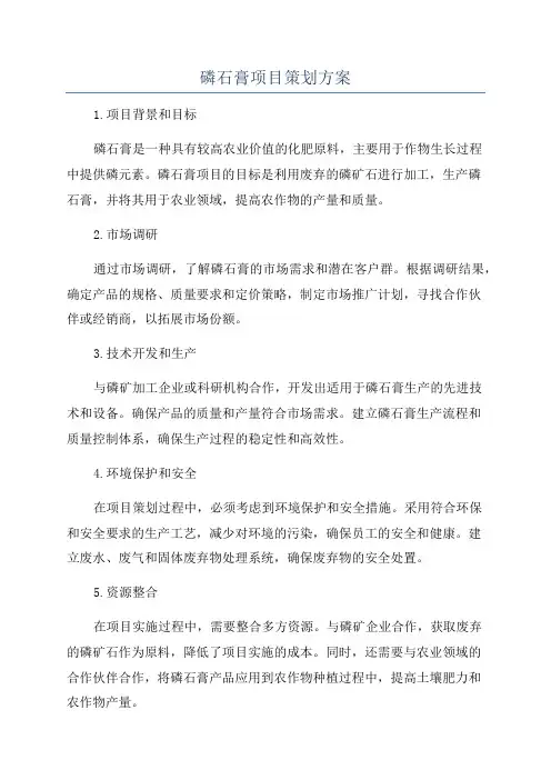 磷石膏项目策划方案