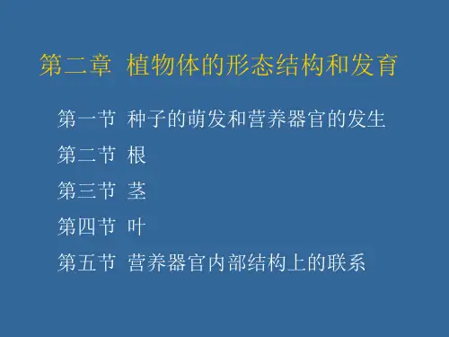 第二章 植物体的形态结构和发育