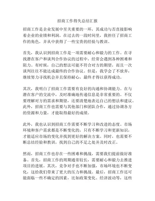 招商工作得失总结汇报