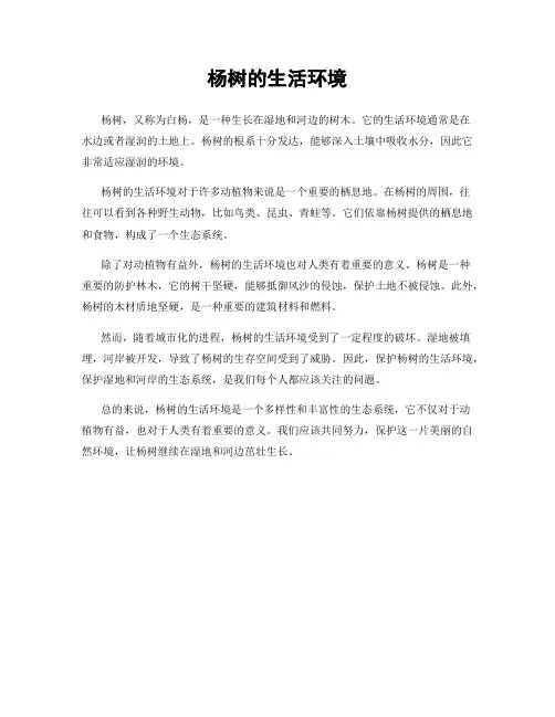 杨树的生活环境