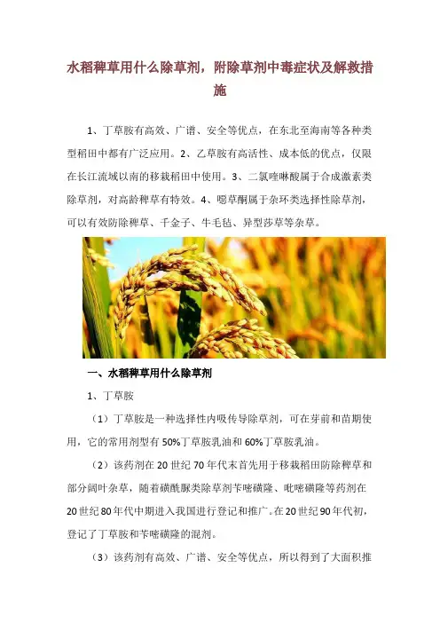 水稻稗草用什么除草剂,附除草剂中毒症状及解救措施