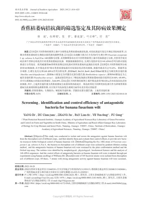香蕉枯萎病拮抗菌的筛选鉴定及其防病效果测定