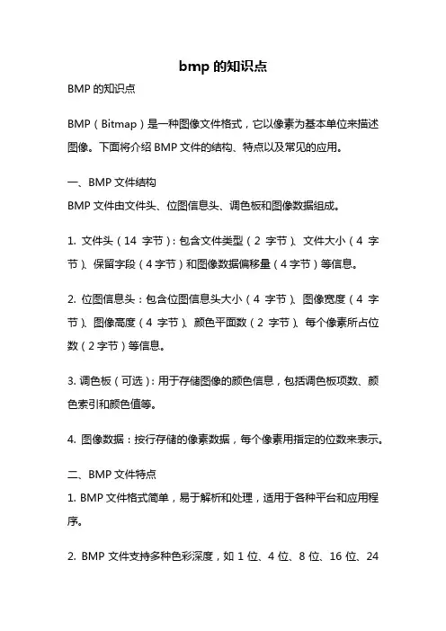 bmp的知识点