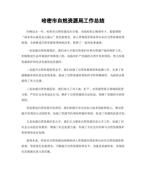 哈密市自然资源局工作总结