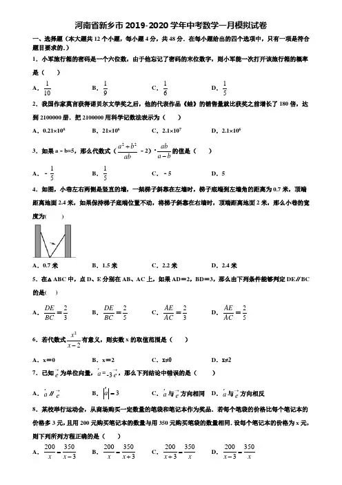 河南省新乡市2019-2020学年中考数学一月模拟试卷含解析