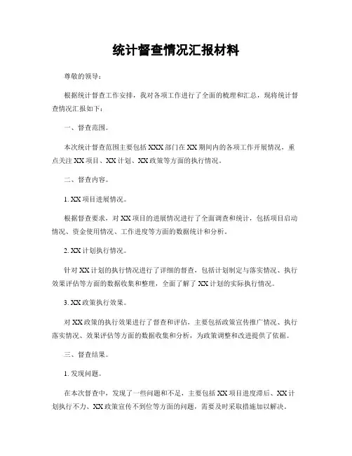 统计督查情况汇报材料
