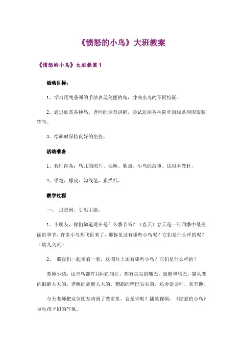 《愤怒的小鸟》大班教案