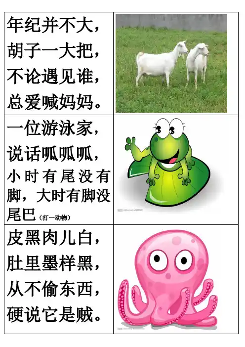 动物谜语卡片