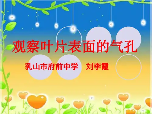 (完整版)观察叶片表面的气孔