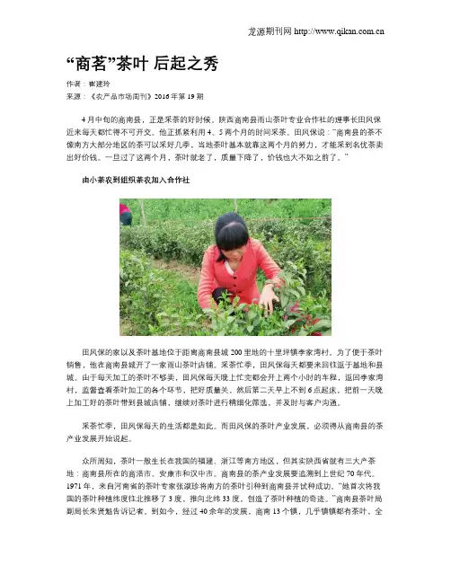 “商茗”茶叶 后起之秀
