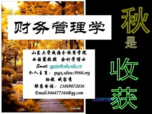 财务管理学第一章总论