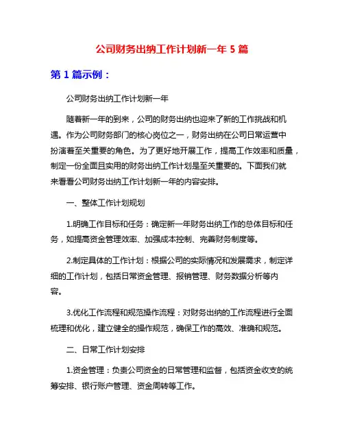 公司财务出纳工作计划新一年5篇