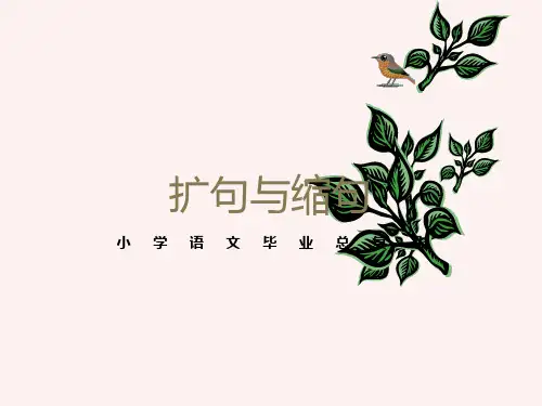 小学语文毕业复习扩句与缩句