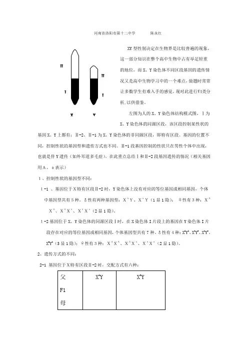 议XY染色体的“同源区段与非同源区段”