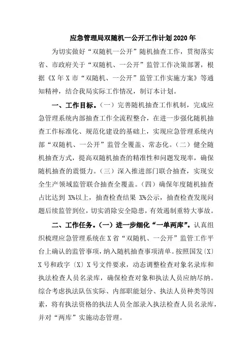应急管理局双随机一公开工作计划2020年