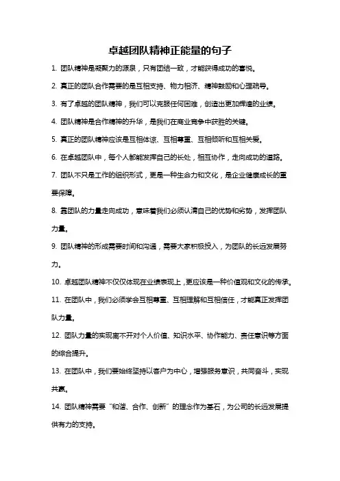 卓越团队精神正能量的句子