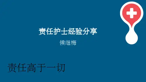 责任护士经验分享ppt