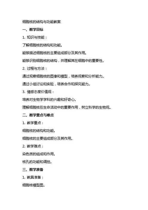 细胞核的结构与功能教案