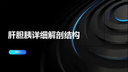 肝胆胰详细解剖结构