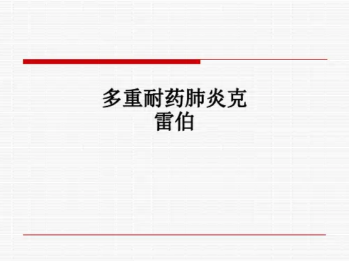 多重耐药肺炎克雷伯ppt课件