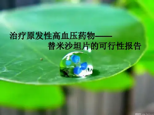 替米沙坦片可行性报告