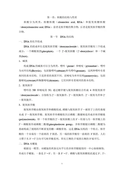 第一章核酸的结构与性质.