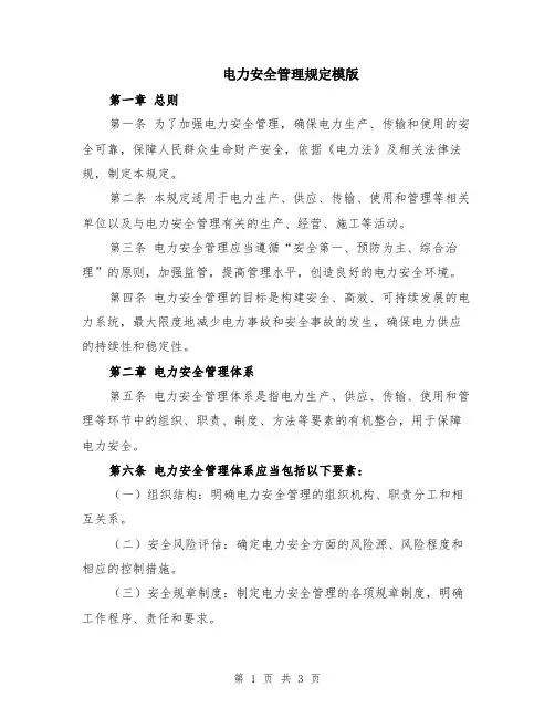 电力安全管理规定模版