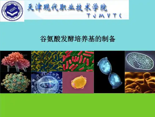 教学课件 谷氨酸发酵培养基的制备(共6张PPT)