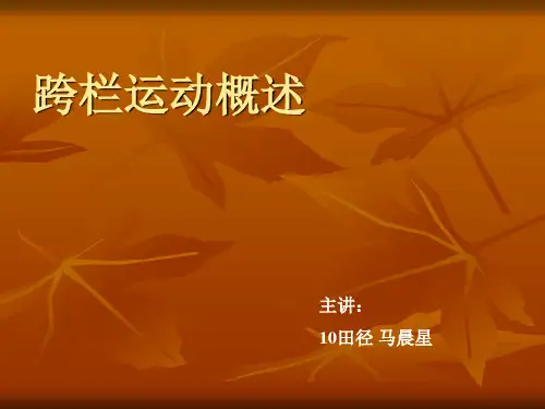 跨栏运动