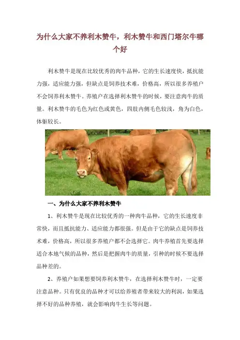 为什么大家不养利木赞牛,利木赞牛和西门塔尔牛哪个好
