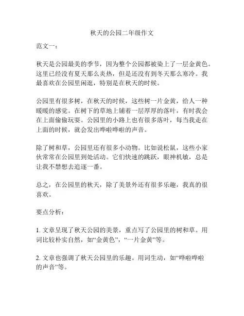 秋天的公园二年级作文