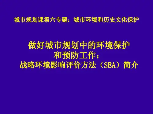 战略环境影响评价方法(SEA)