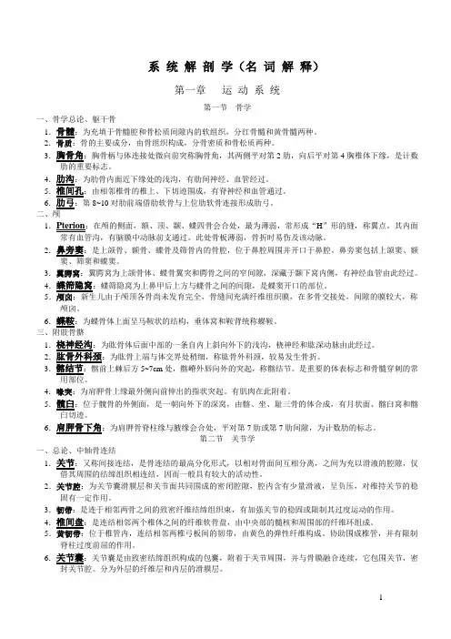 系统解剖学名词解释