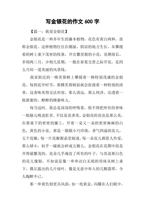 写金银花的作文600字