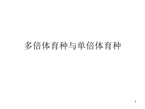 多倍体育种与单倍体育种ppt课件