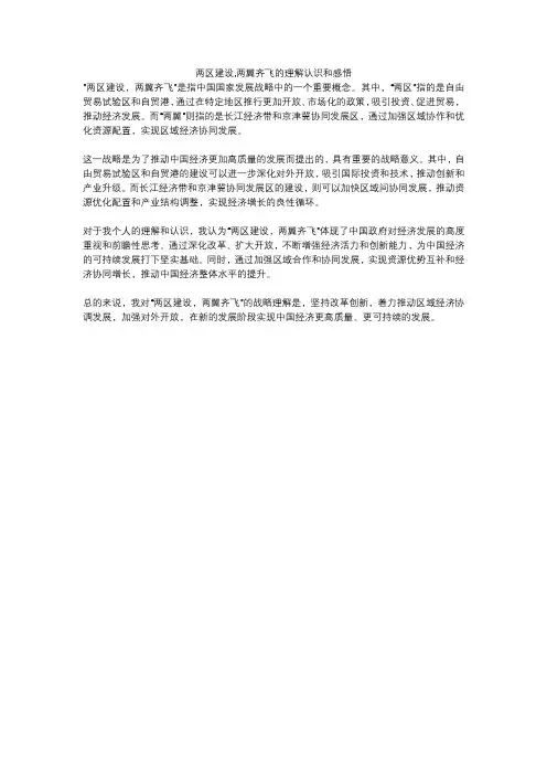 两区建设,两翼齐飞的理解认识和感悟