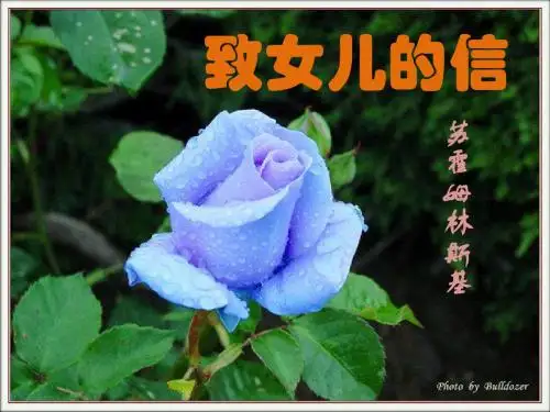 《致女儿的信》