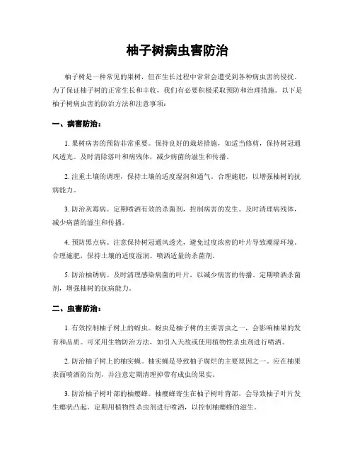 柚子树病虫害防治