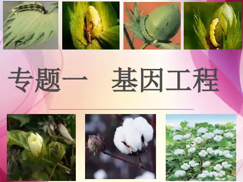 高中生物选修3专题1第1节dna重组技术的基本工具_3