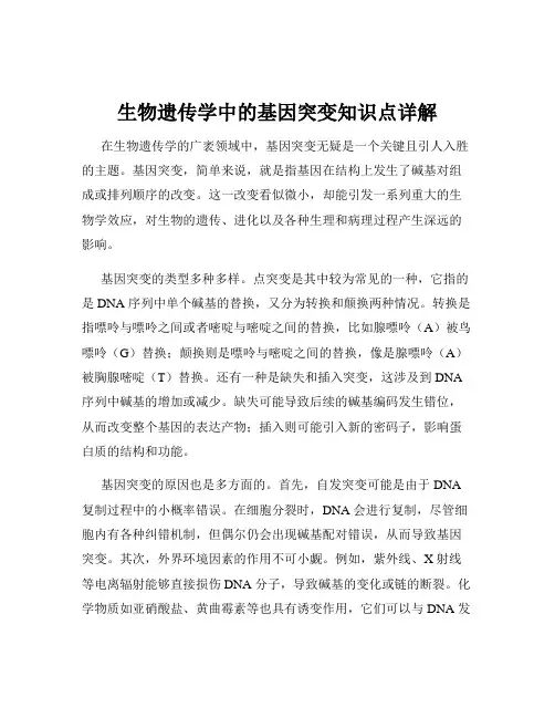 生物遗传学中的基因突变知识点详解
