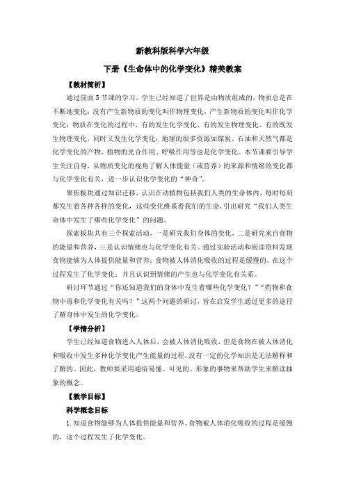 新教科版科学六年级下册《生命体中的化学变化》精美教案