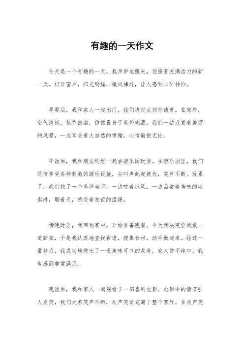 有趣的一天作文