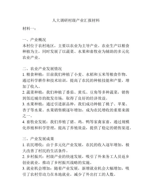 人大调研村级产业汇报材料