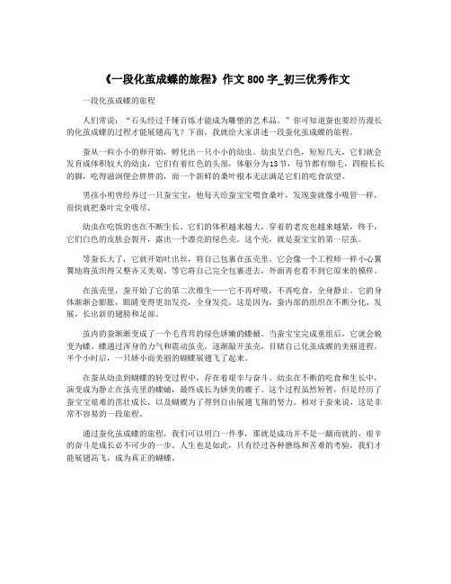 《一段化茧成蝶的旅程》作文800字_初三优秀作文