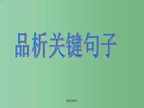 高中语文 记叙文阅读-句子赏析课件