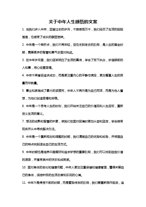 关于中年人生感悟的文案