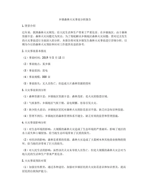 乡镇森林火灾事故分析报告