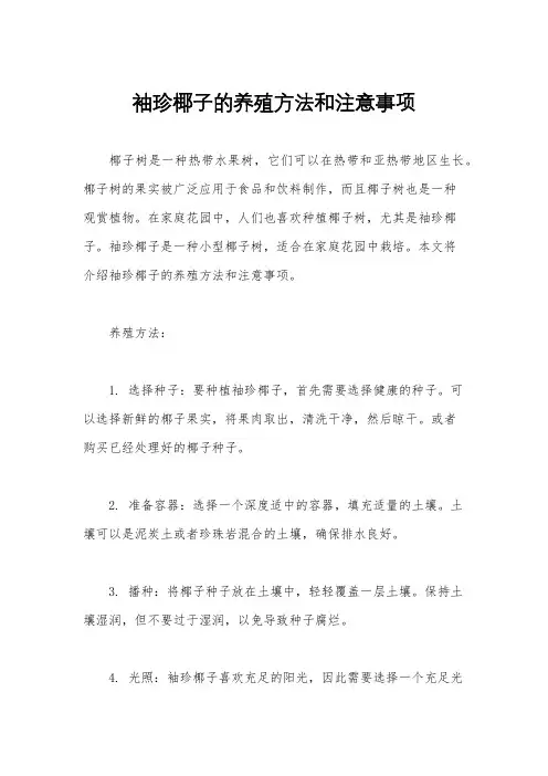 袖珍椰子的养殖方法和注意事项